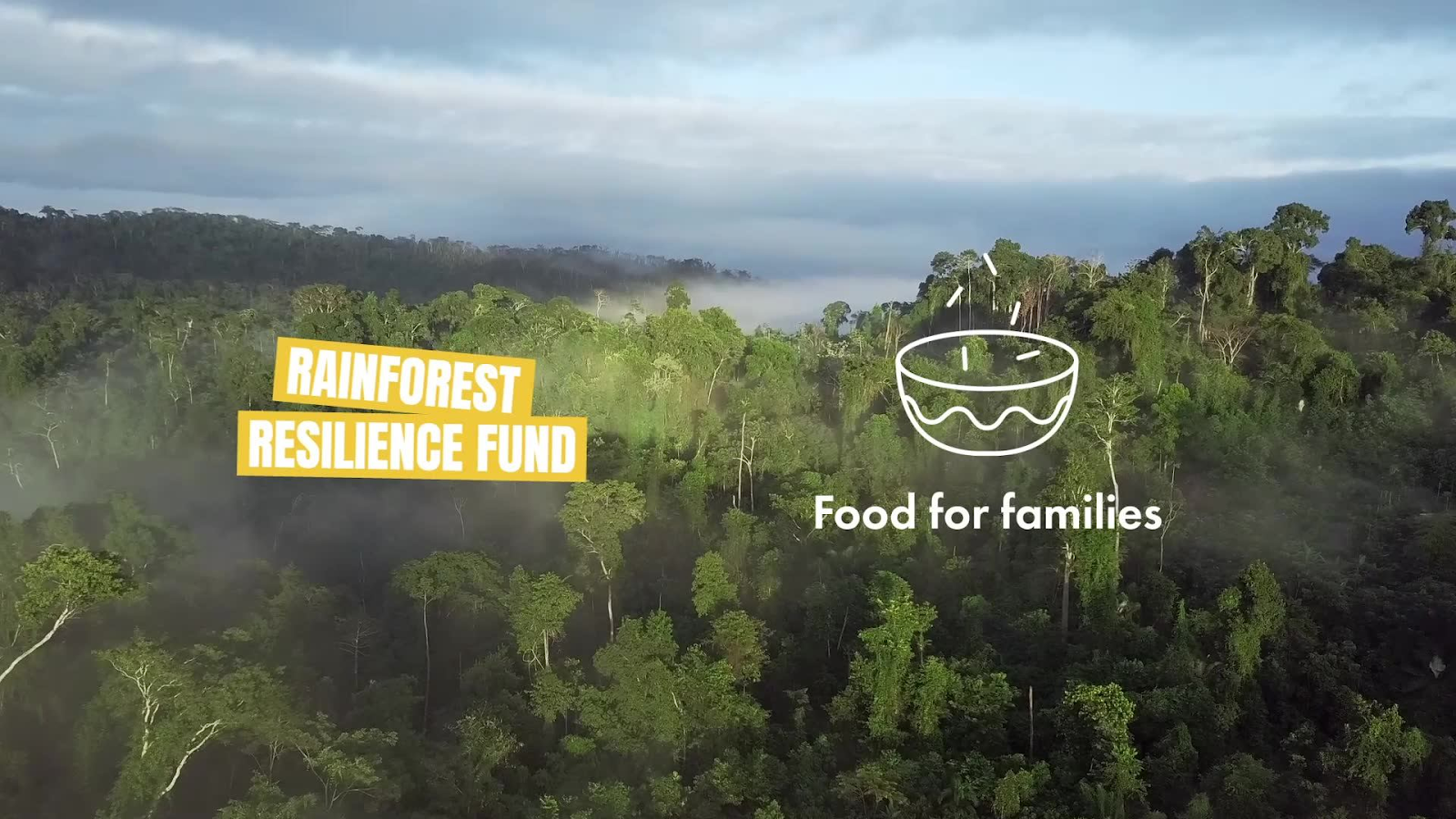 Cool Earth Rainforest Resilience Fund